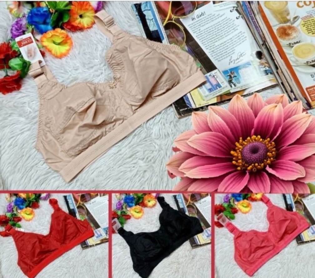 ইন্ডিয়ান গুড্ডি ব্রা ৬ পিস ৬ কালার